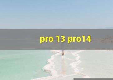 pro 13 pro14